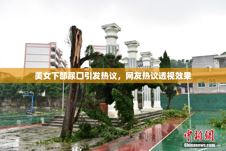 美女下部尿囗引发热议，网友热议透视效果