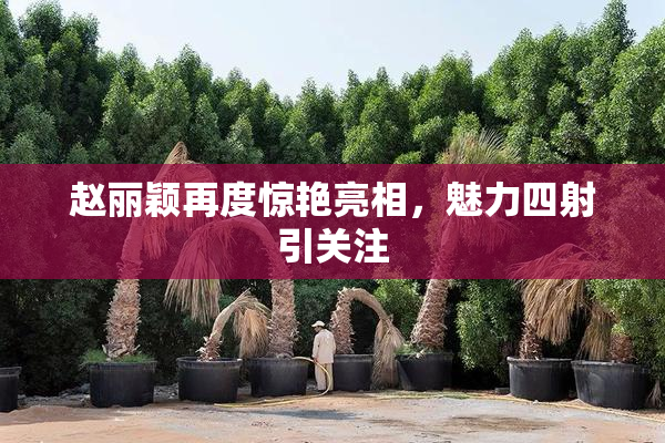赵丽颖再度惊艳亮相，魅力四射引关注
