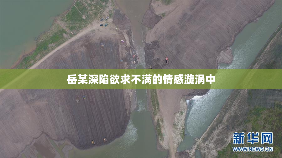 岳某深陷欲求不满的情感漩涡中