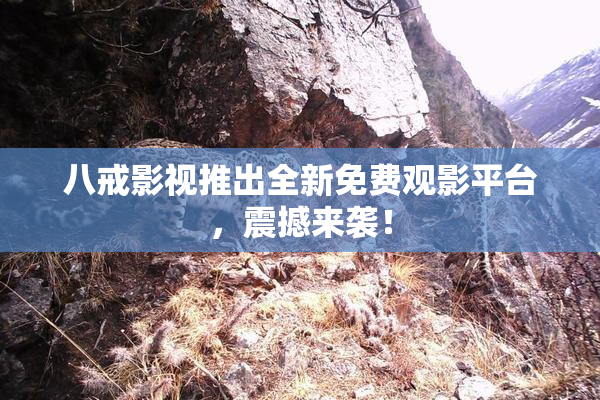 八戒影视推出全新免费观影平台，震撼来袭！