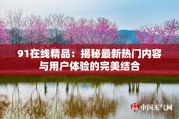 91在线精品：揭秘最新热门内容与用户体验的完美结合