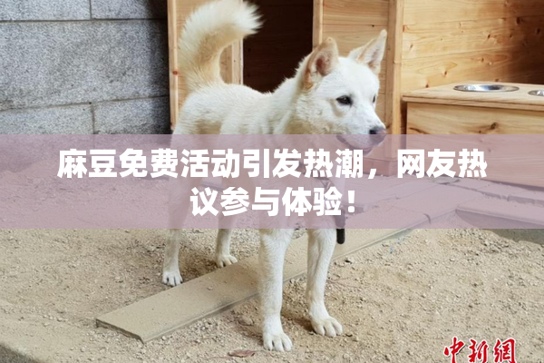 麻豆免费活动引发热潮，网友热议参与体验！