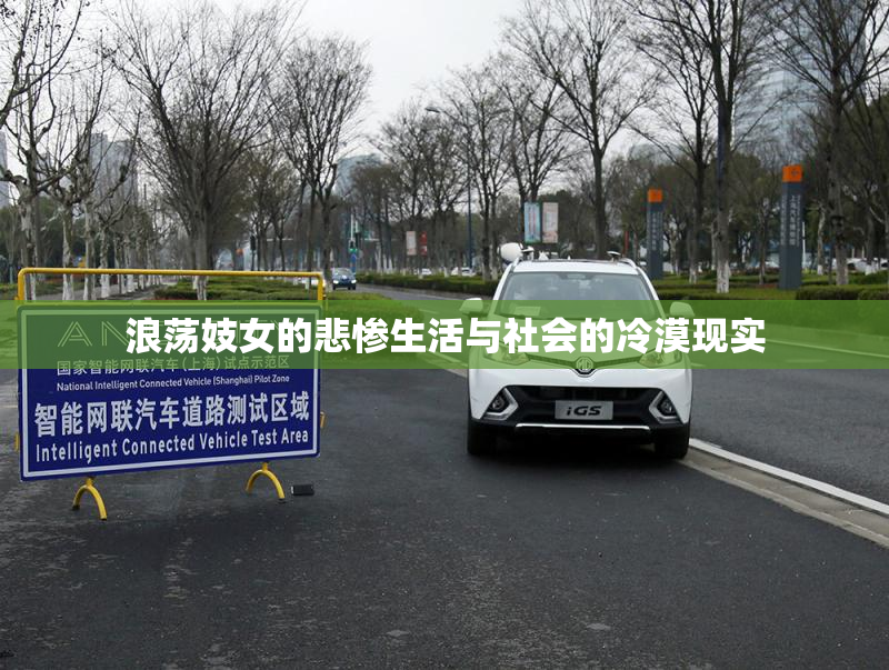 浪荡妓女的悲惨生活与社会的冷漠现实