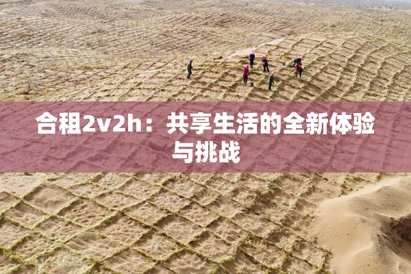 合租2v2h：共享生活的全新体验与挑战