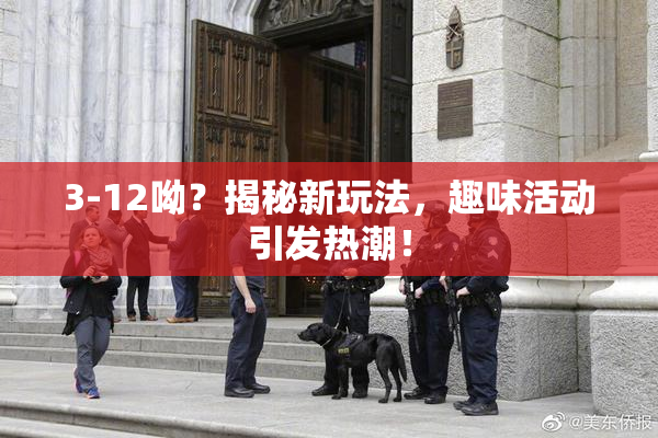 3-12呦？揭秘新玩法，趣味活动引发热潮！