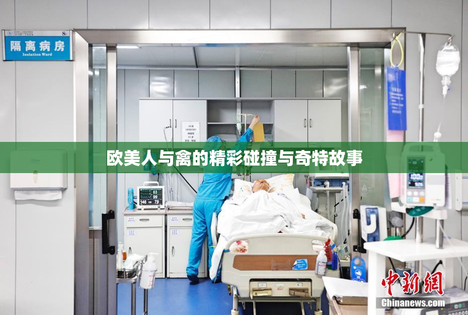 欧美人与禽的精彩碰撞与奇特故事