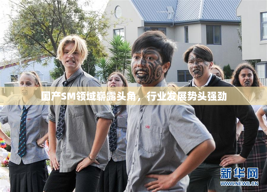 国产SM领域崭露头角，行业发展势头强劲
