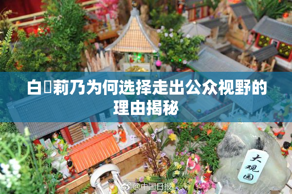 白咲莉乃为何选择走出公众视野的理由揭秘