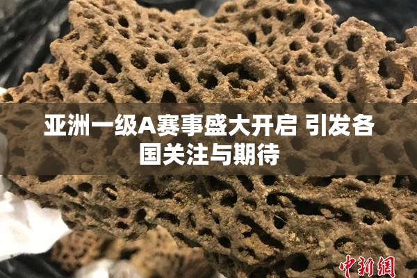 亚洲一级A赛事盛大开启 引发各国关注与期待