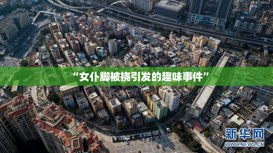“女仆脚被挠引发的趣味事件”