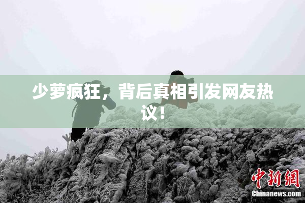 少萝疯狂，背后真相引发网友热议！