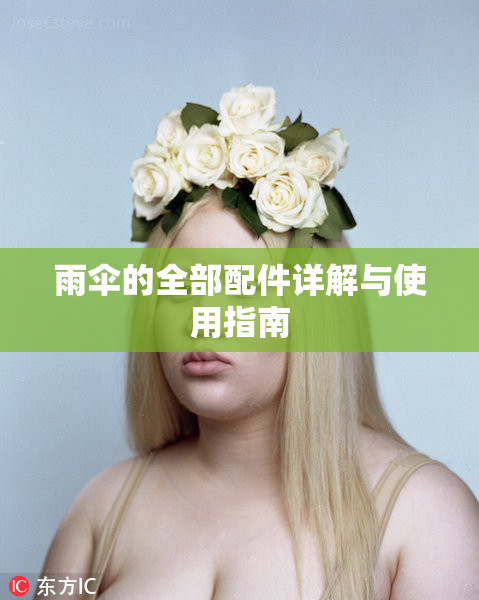 雨伞的全部配件详解与使用指南