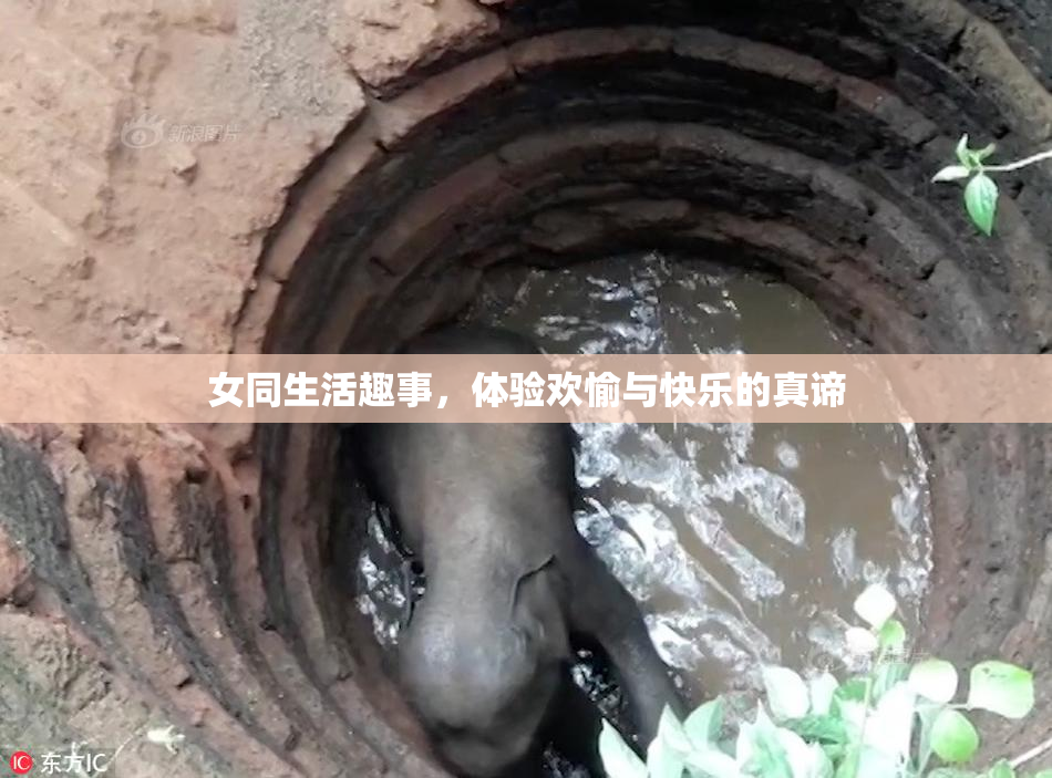 女同生活趣事，体验欢愉与快乐的真谛