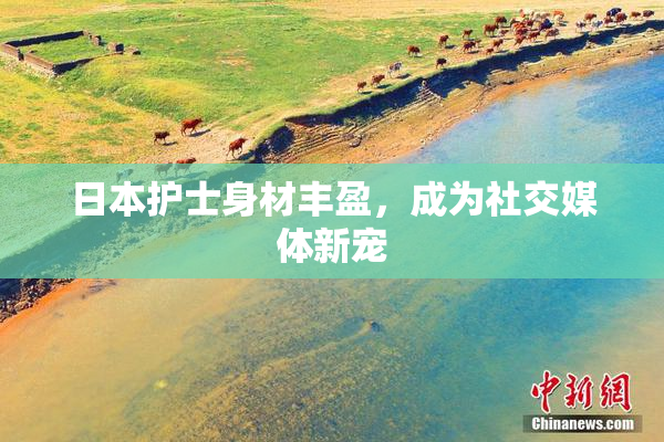 日本护士身材丰盈，成为社交媒体新宠