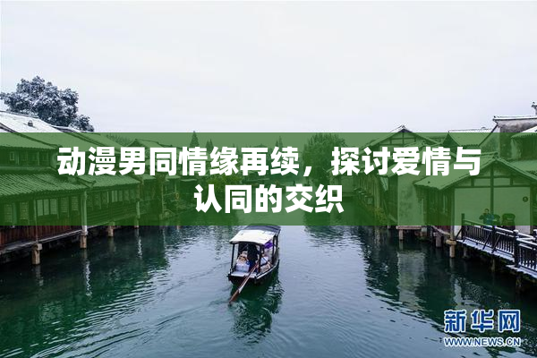 动漫男同情缘再续，探讨爱情与认同的交织