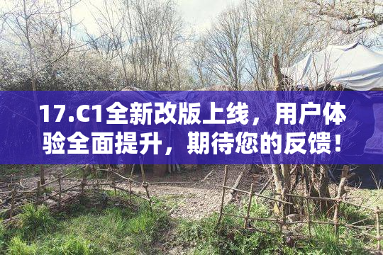 17.C1全新改版上线，用户体验全面提升，期待您的反馈！