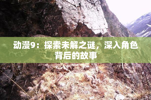 动漫9：探索未解之谜，深入角色背后的故事