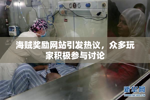 海贼奖励网站引发热议，众多玩家积极参与讨论