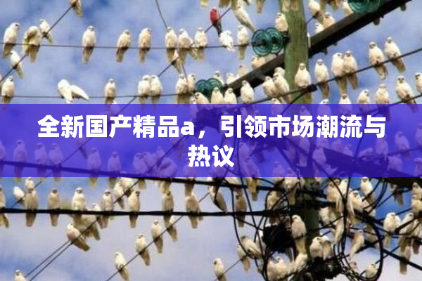 全新国产精品a，引领市场潮流与热议
