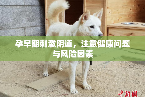 孕早期刺激阴道，注意健康问题与风险因素