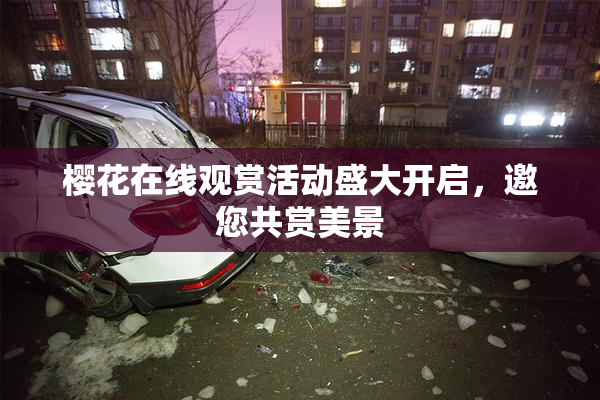 樱花在线观赏活动盛大开启，邀您共赏美景