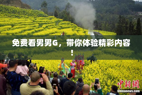 免费看男男G，带你体验精彩内容！