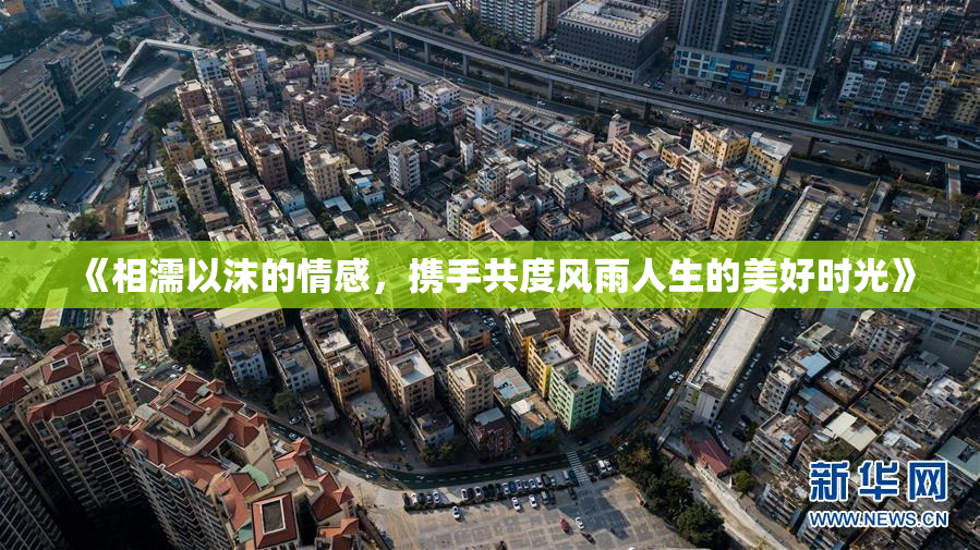 《相濡以沫的情感，携手共度风雨人生的美好时光》
