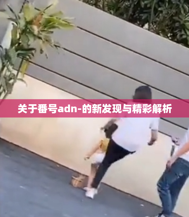 关于番号adn-的新发现与精彩解析