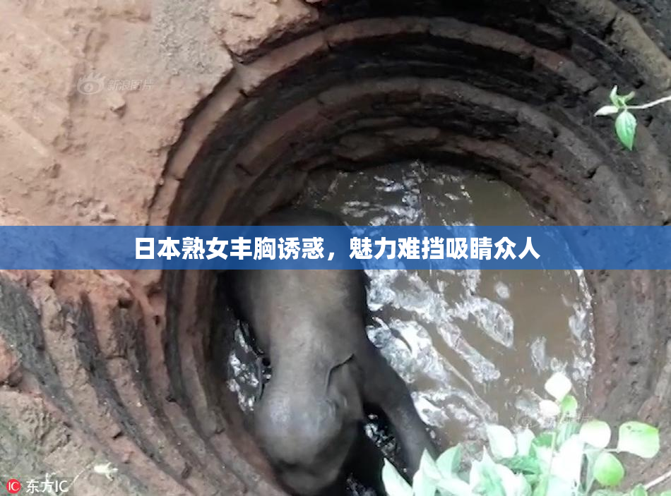 日本熟女丰胸诱惑，魅力难挡吸睛众人