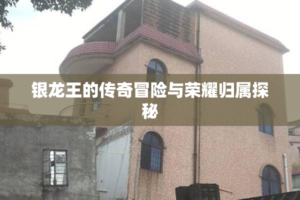 银龙王的传奇冒险与荣耀归属探秘