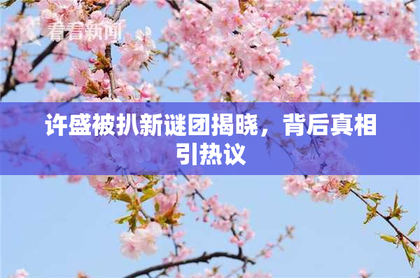 许盛被扒新谜团揭晓，背后真相引热议