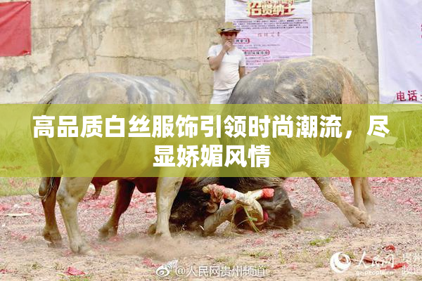 高品质白丝服饰引领时尚潮流，尽显娇媚风情