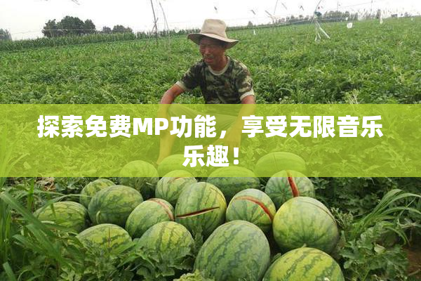 探索免费MP功能，享受无限音乐乐趣！