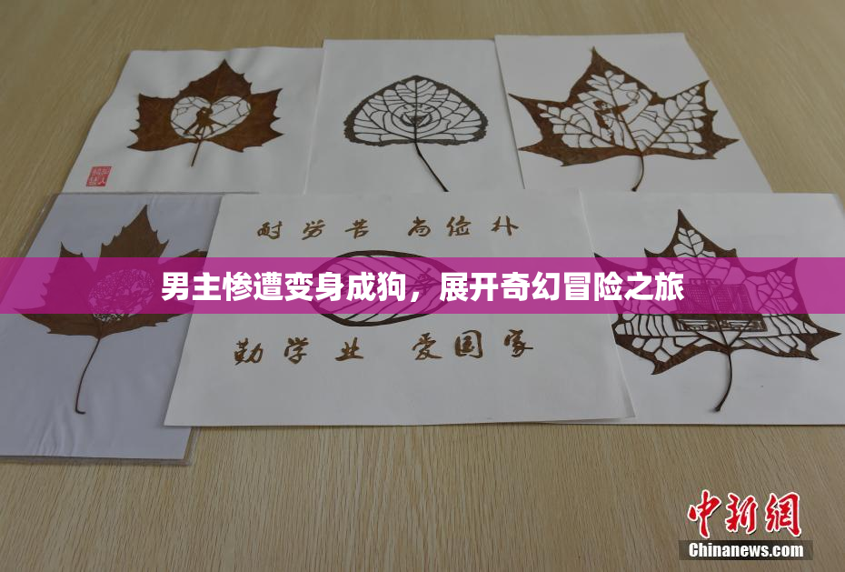 男主惨遭变身成狗，展开奇幻冒险之旅