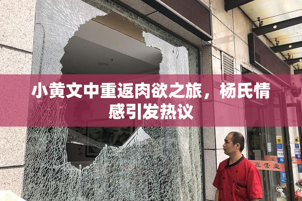 小黄文中重返肉欲之旅，杨氏情感引发热议
