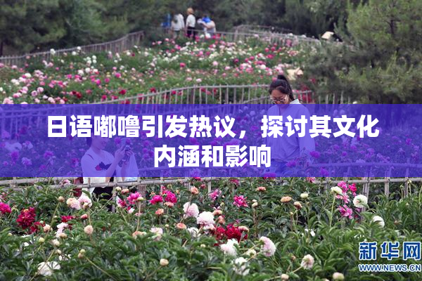 日语嘟噜引发热议，探讨其文化内涵和影响