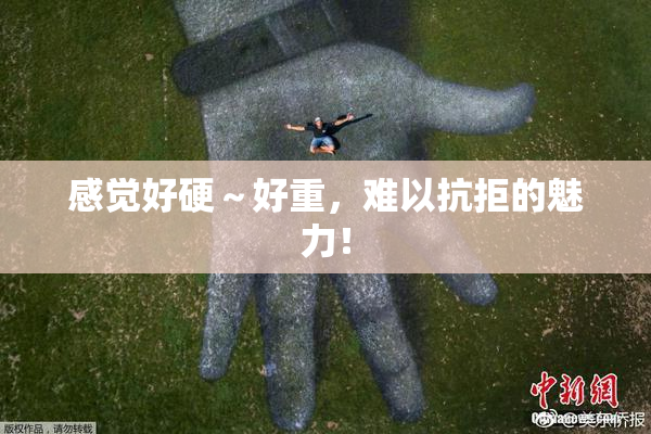 感觉好硬～好重，难以抗拒的魅力！