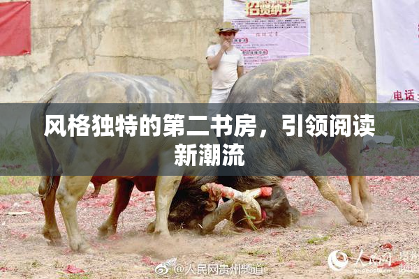 风格独特的第二书房，引领阅读新潮流