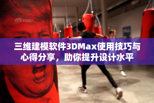 三维建模软件3DMax使用技巧与心得分享，助你提升设计水平