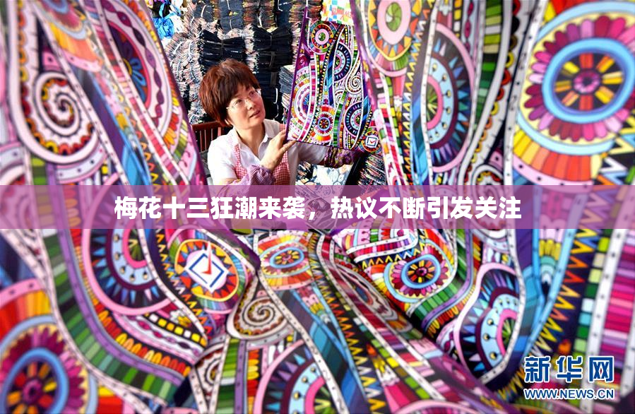 梅花十三狂潮来袭，热议不断引发关注