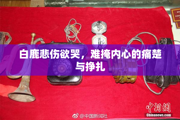 白鹿悲伤欲哭，难掩内心的痛楚与挣扎
