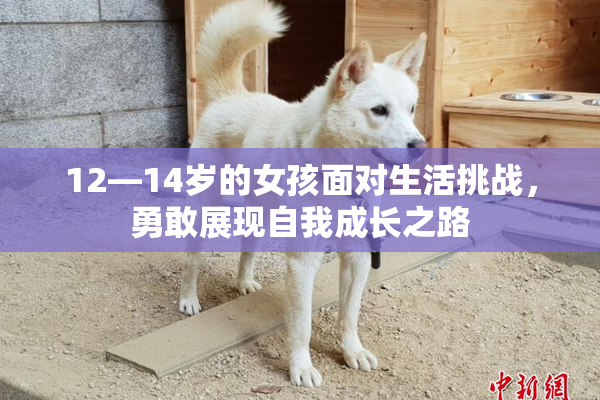 12—14岁的女孩面对生活挑战，勇敢展现自我成长之路
