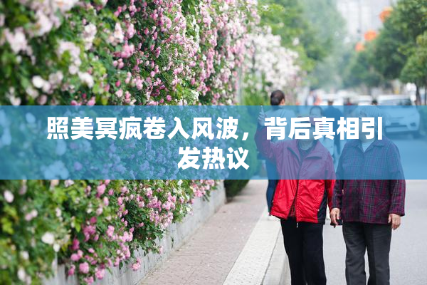 照美冥疯卷入风波，背后真相引发热议