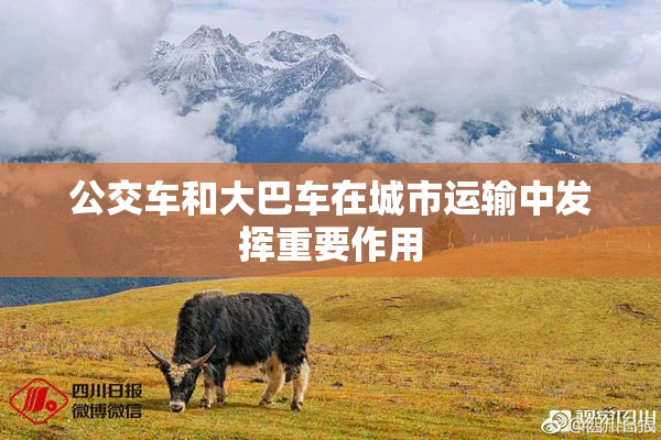 公交车和大巴车在城市运输中发挥重要作用