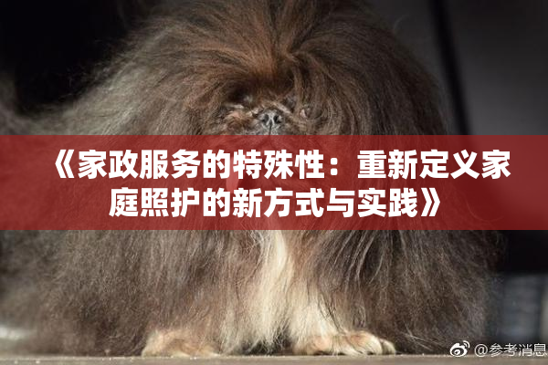 《家政服务的特殊性：重新定义家庭照护的新方式与实践》