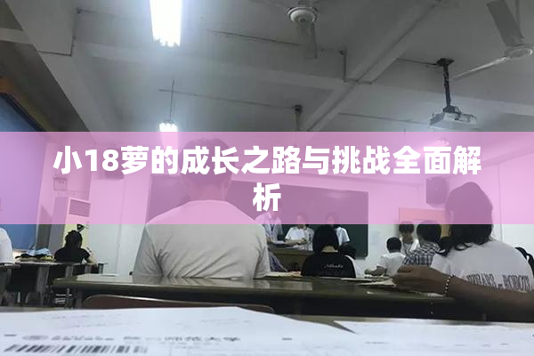 小18萝的成长之路与挑战全面解析