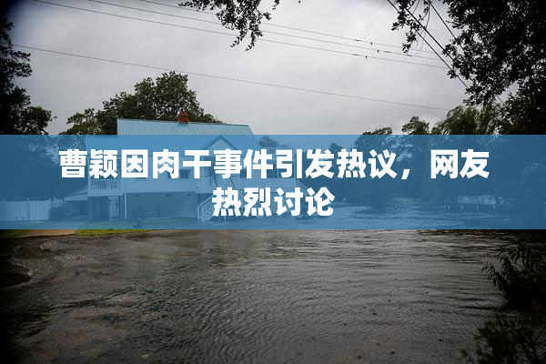 曹颖因肉干事件引发热议，网友热烈讨论
