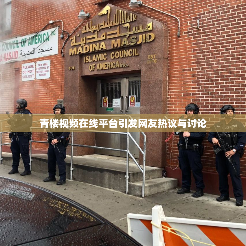 青楼视频在线平台引发网友热议与讨论