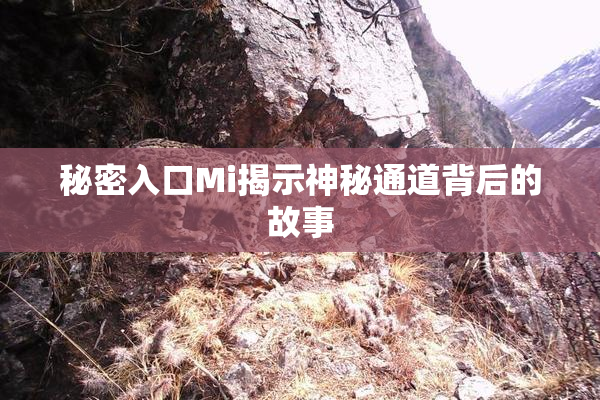 秘密入口Mi揭示神秘通道背后的故事