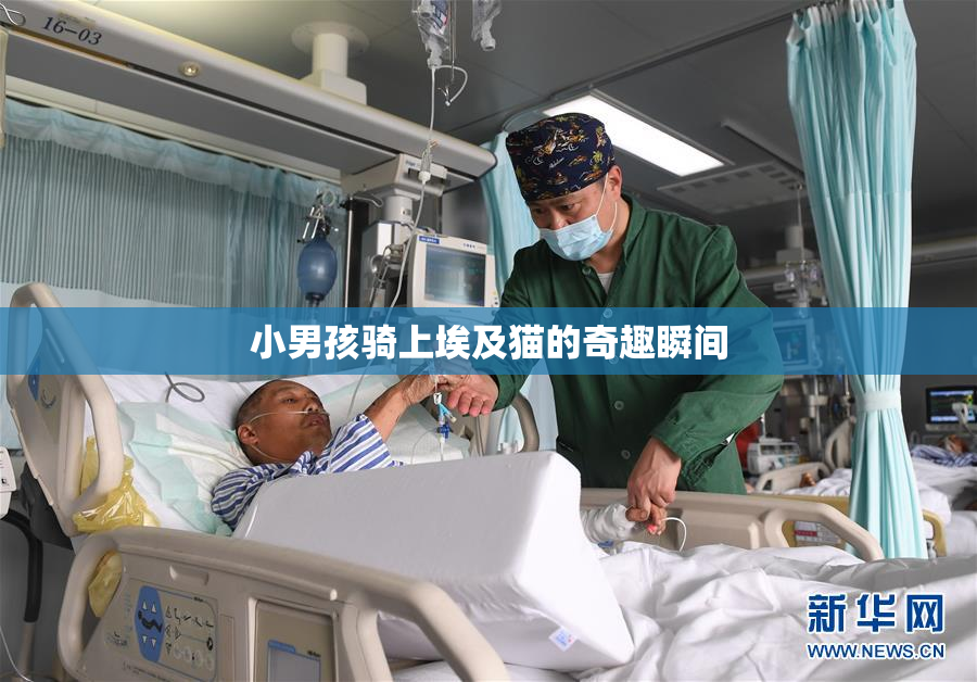 小男孩骑上埃及猫的奇趣瞬间